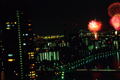 Photo: 2005. Tokyo, Japan, Nikon F100, SIGMA 100-500mm, Kodak EBX.