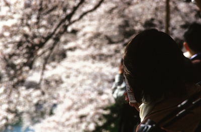 Photo: 春景3 2008. Tokyo, Japan, Contax RX, Carl Zeiss Vario-Sonnar T* 35-135mm/F3.3-4.5(MM), Kodak EBX.