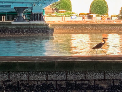Photo: “Bridge and river.” 2020, tokyo, Japan, Apple iPhone XS max.