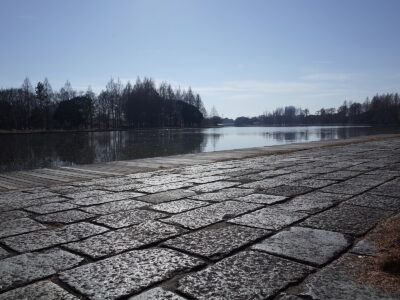 Photo: “Quiet pond.”